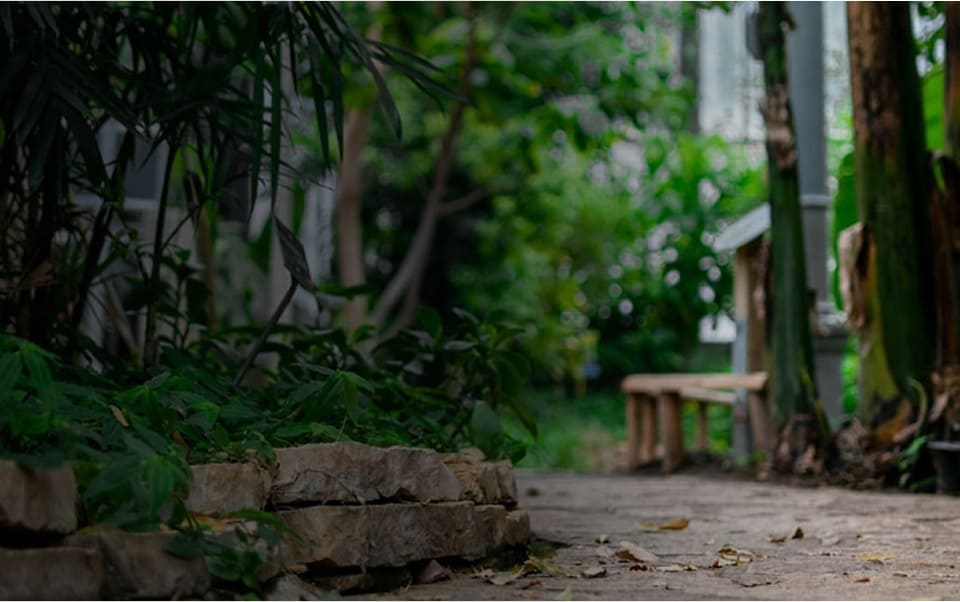 Lote de asistencia técnica en Las Rozas