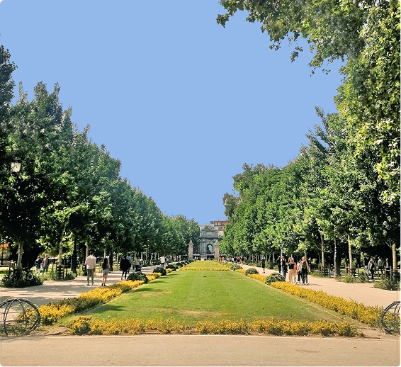 Proyecto de remodelación del Paseo de Méjico ( Parque del Retiro ) premio Alhambra de la AEPJP