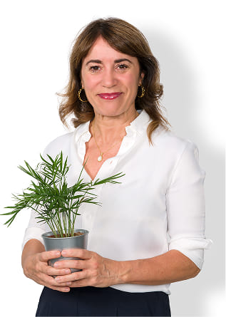 Sostenibilidad Laura