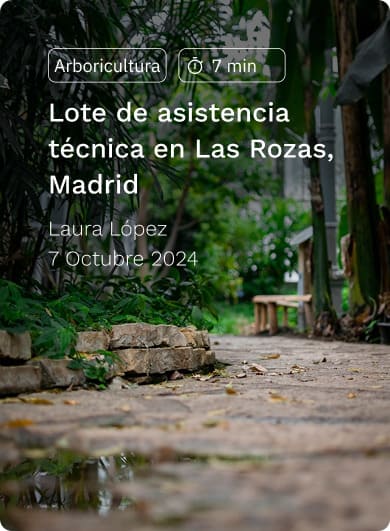 Lote de asistencia técnica en las rozas Lote de asistencia técnica en las rozas