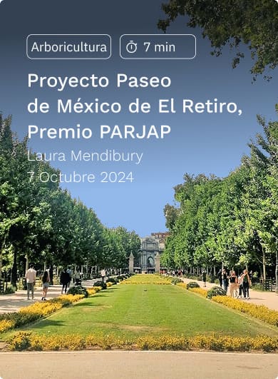 Paseo de mexico Paseo de mexico