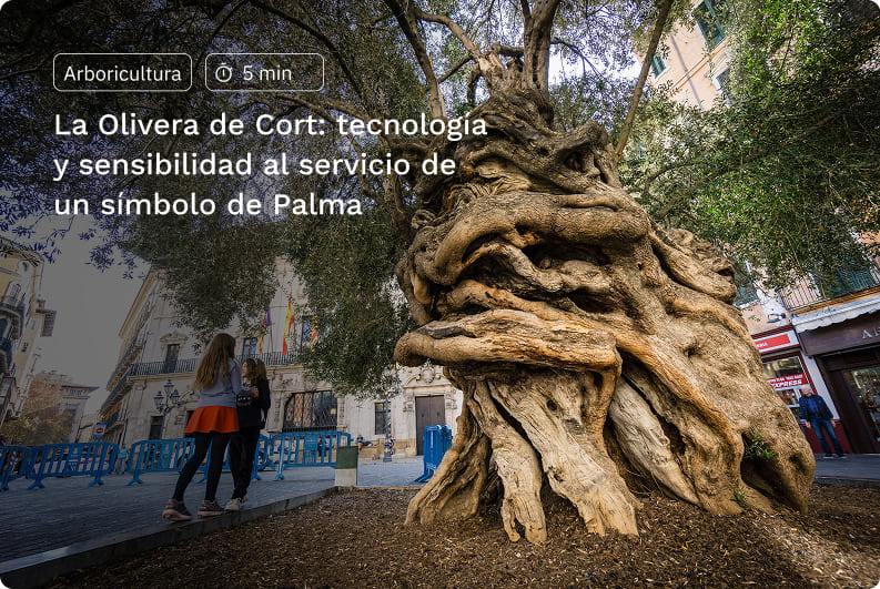 Lote de asistencia técnica en las rozas