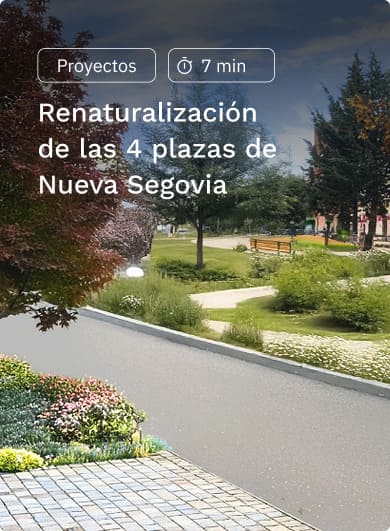 Lote de asistencia técnica en las rozas