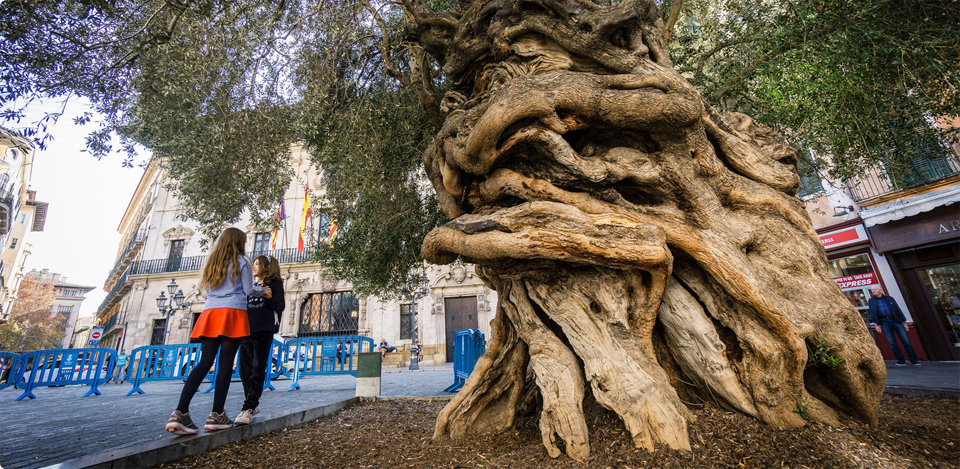 caso de exito serve img1 mvl