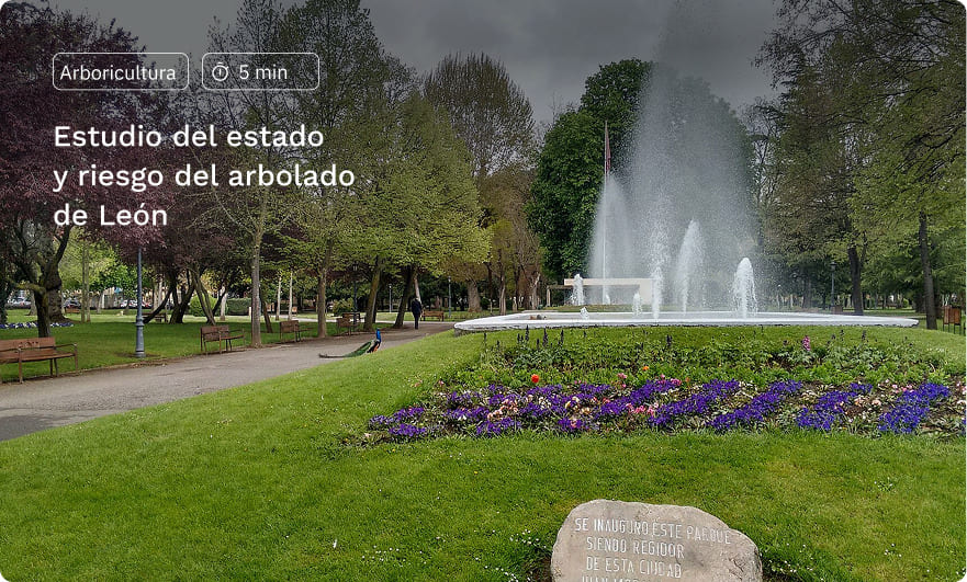 Estudio arbolado León